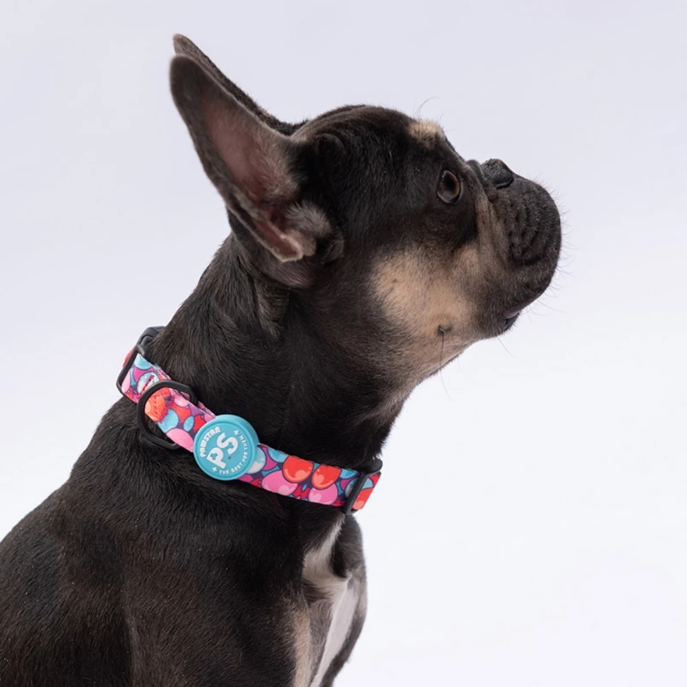 DC20-Balloons Boyun Tasması