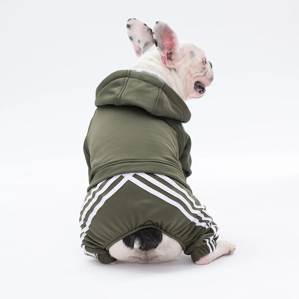 23913 Haki Tuta Tulum