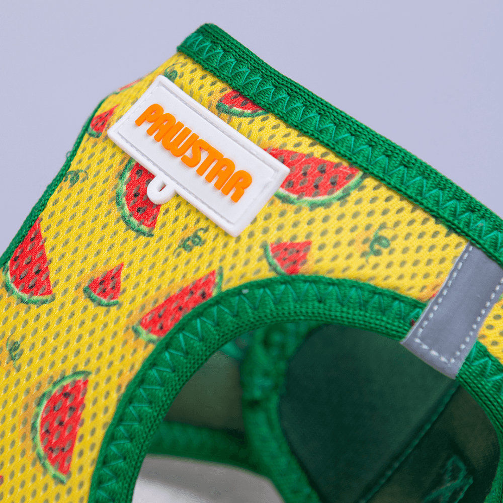 A32-Watermelon Airmesh