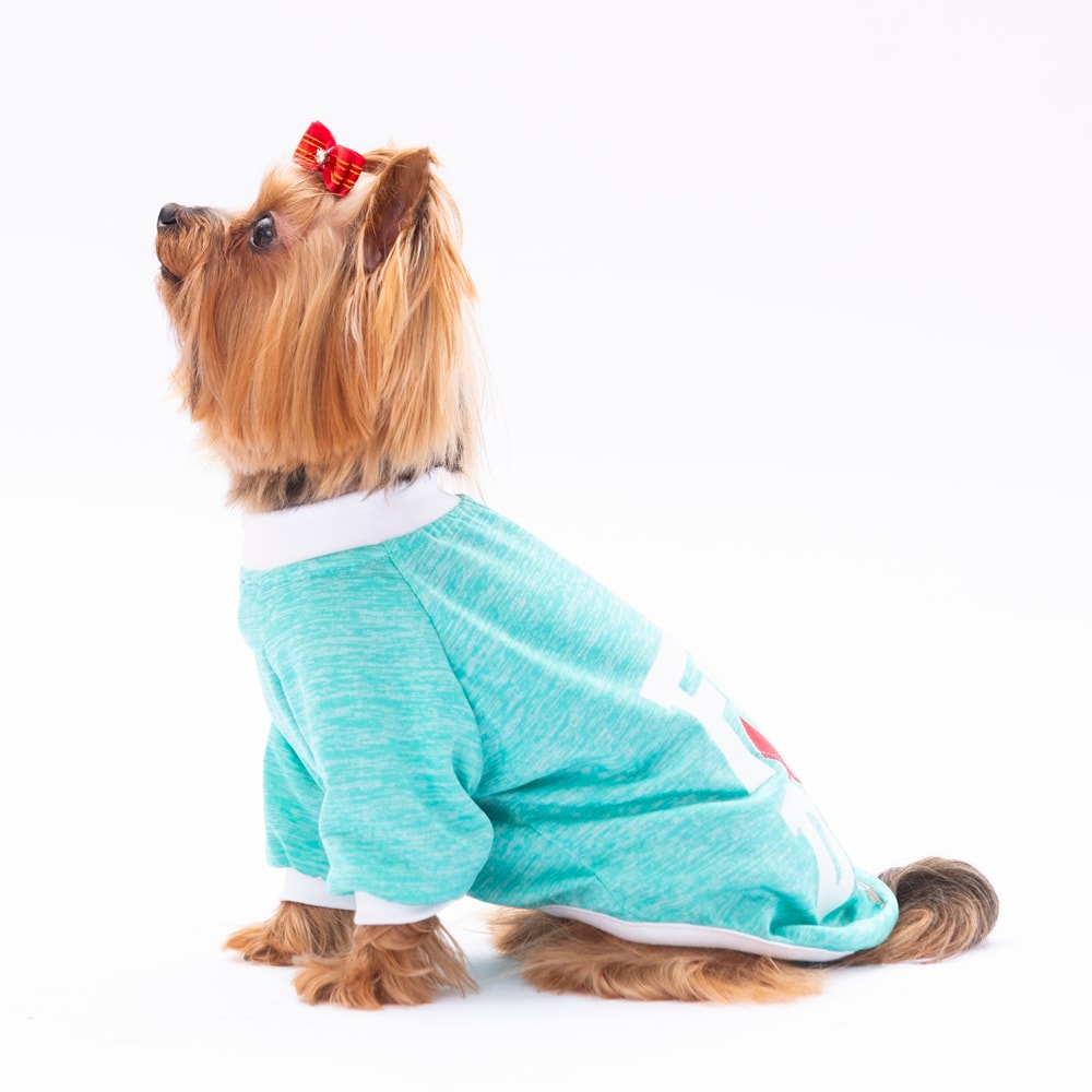 24716 Mint Fun Day Sweat