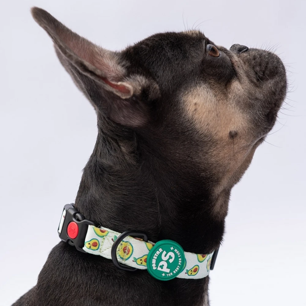 DC21-Avocado Boyun Tasması