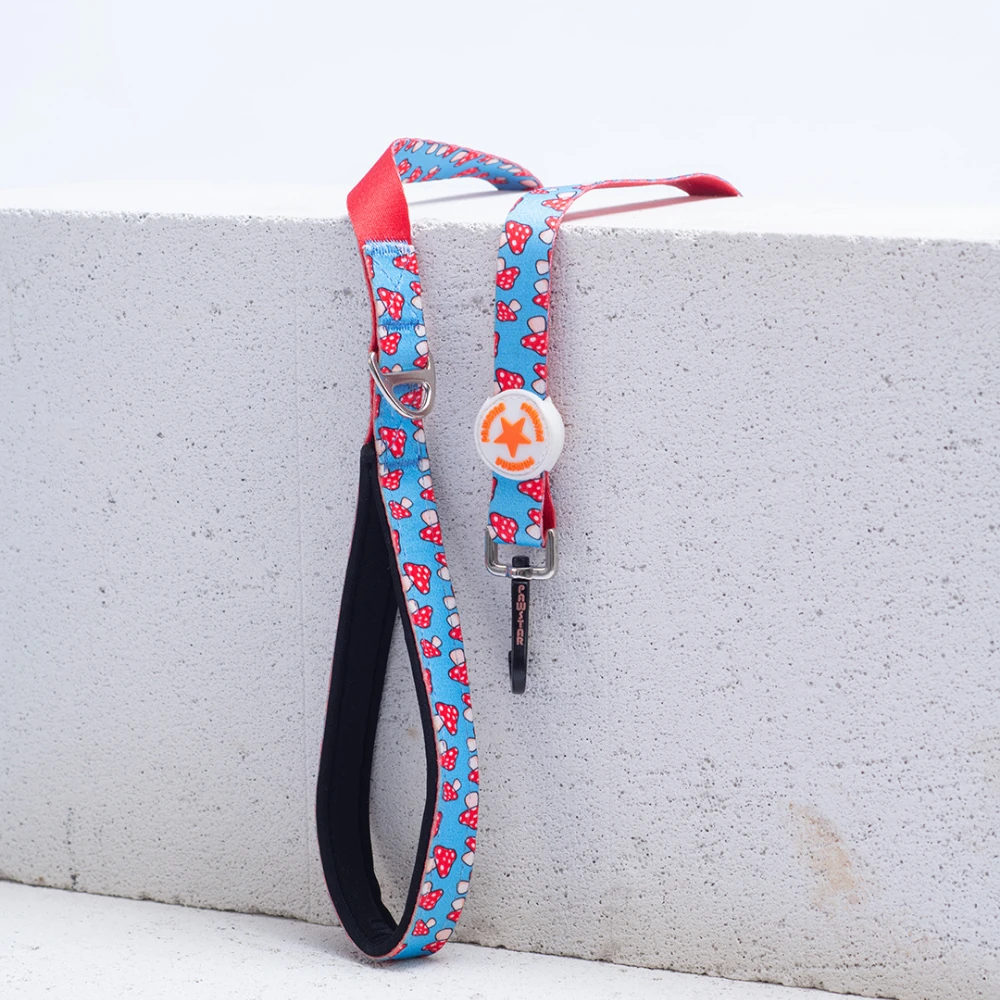 L36-Mushroom Sevk Kayışı