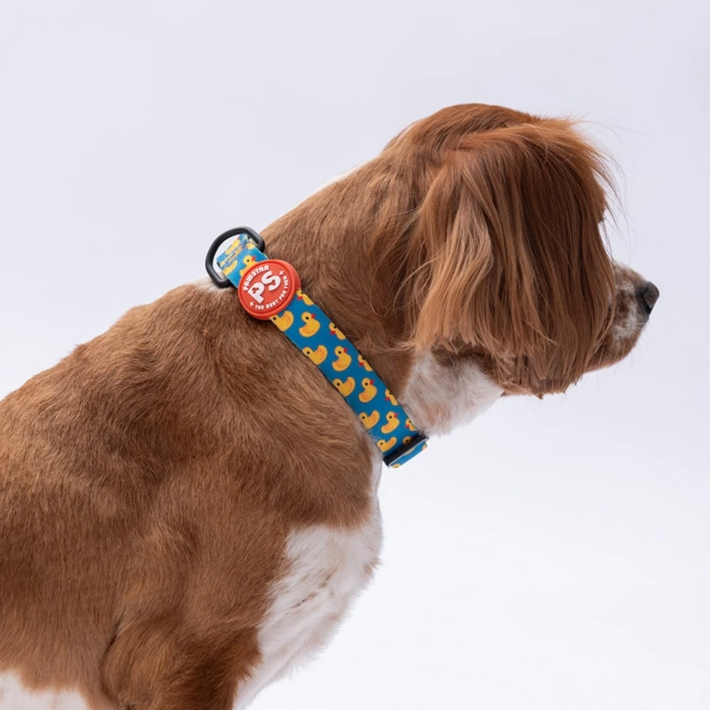 DC28-Ducks Boyun Tasması