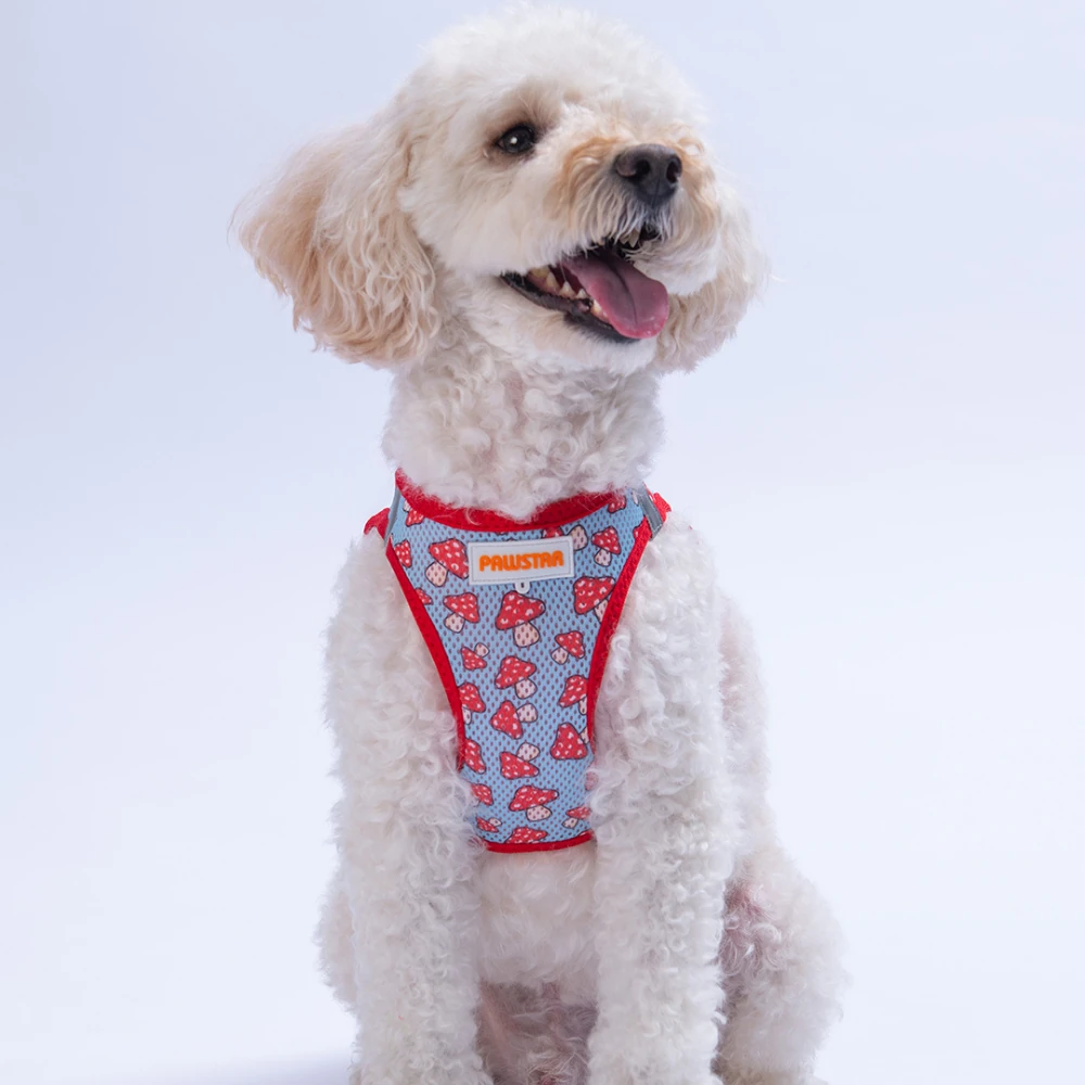 A36-Mushroom Airmesh