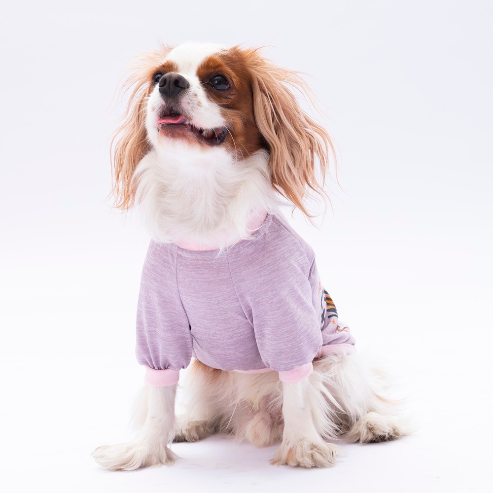 24714 Lila Everything Sweat