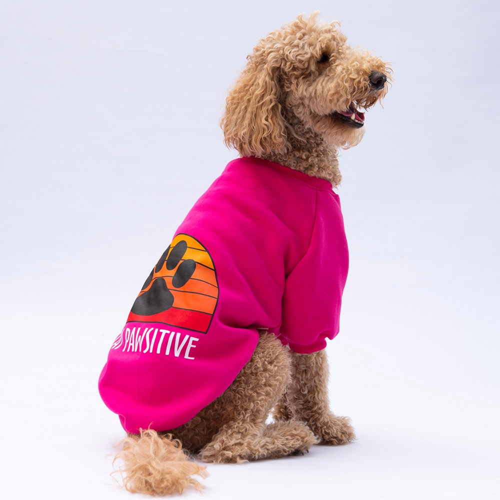 24757 Pembe Carmel Büyük Irk Sweat
