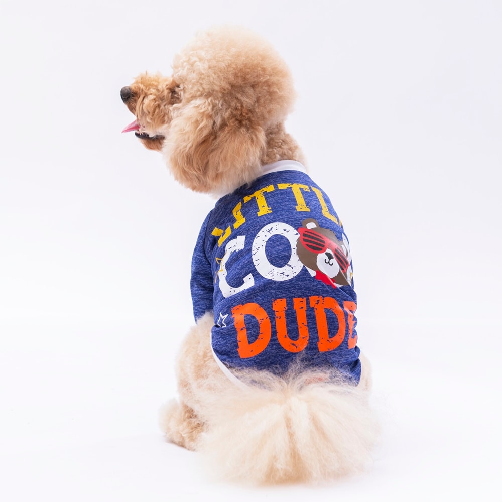 24719 Mavi Dude Sweat