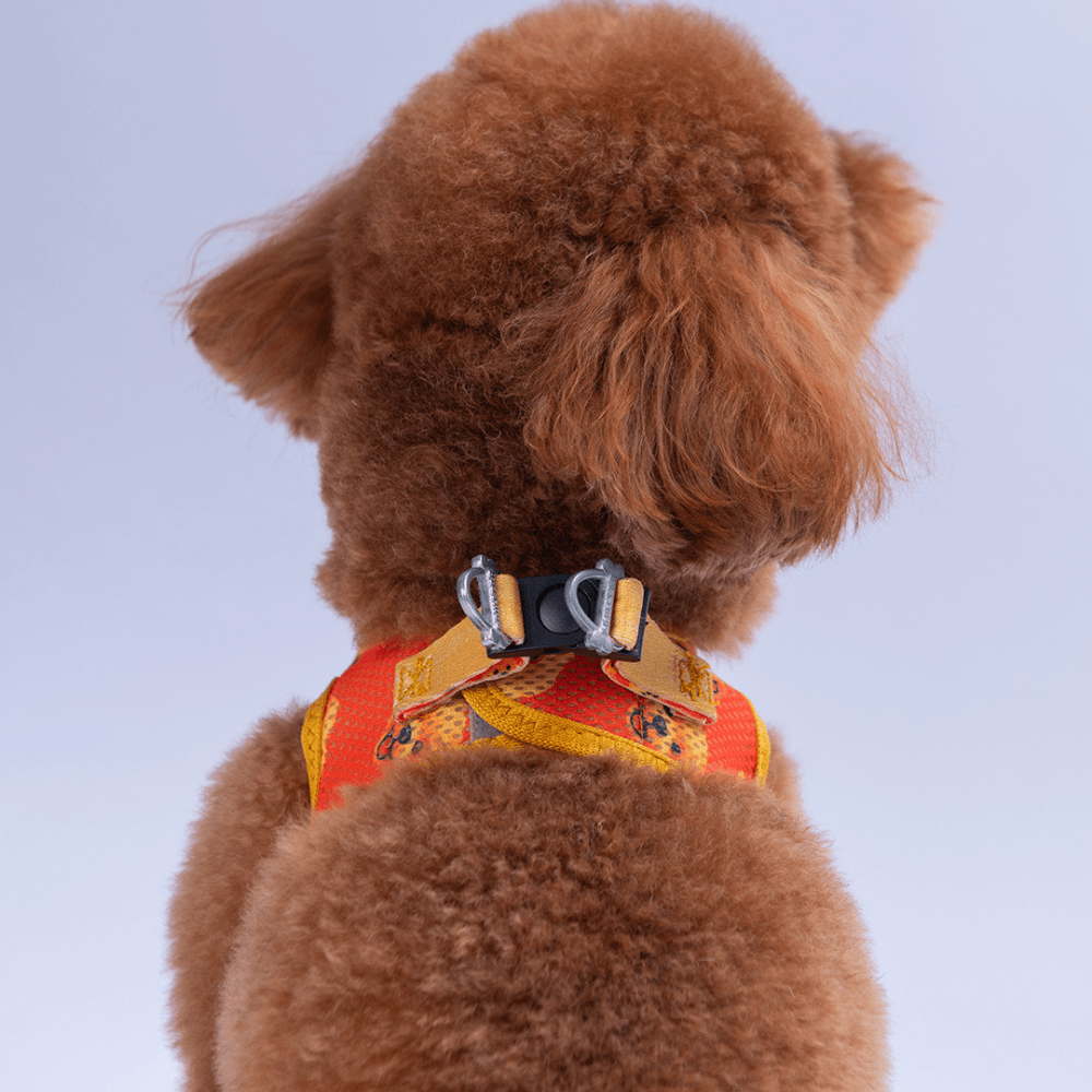 A31- Poodle Airmesh