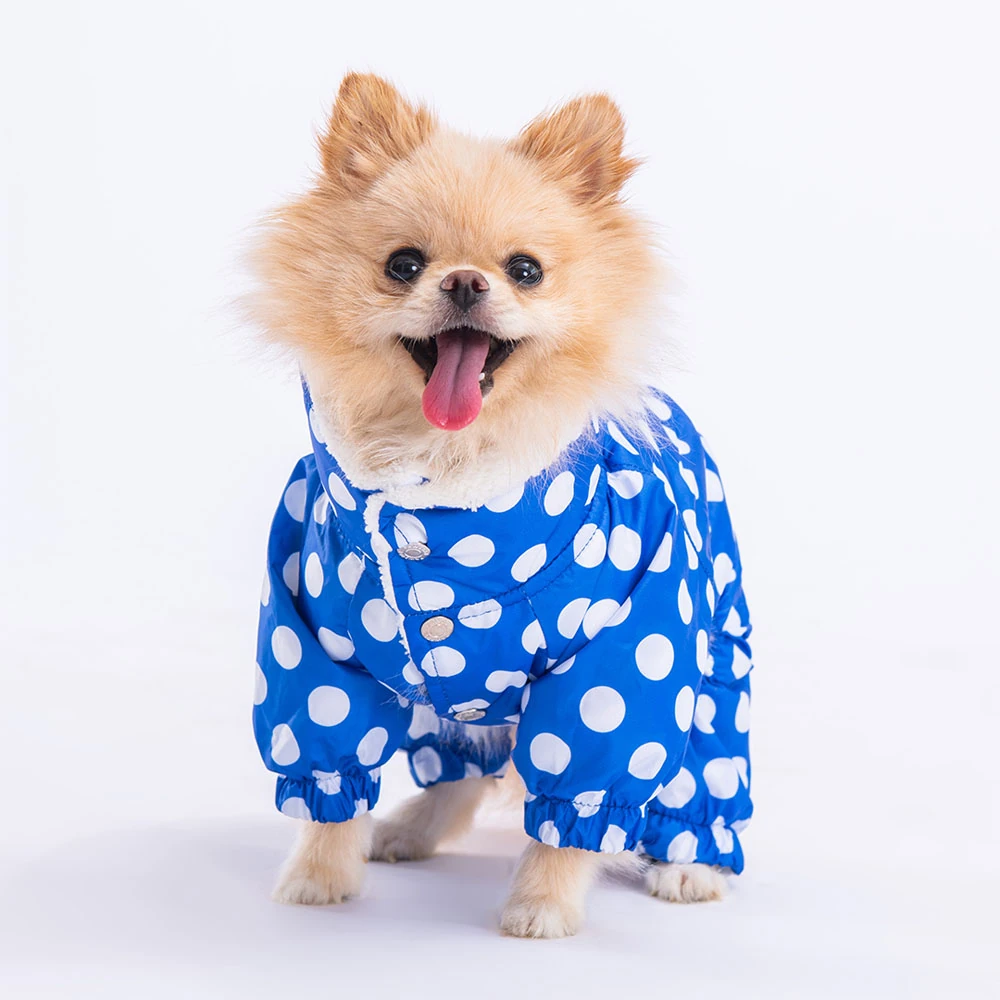 23521 Mavi Dots Tulum Yağmurluk