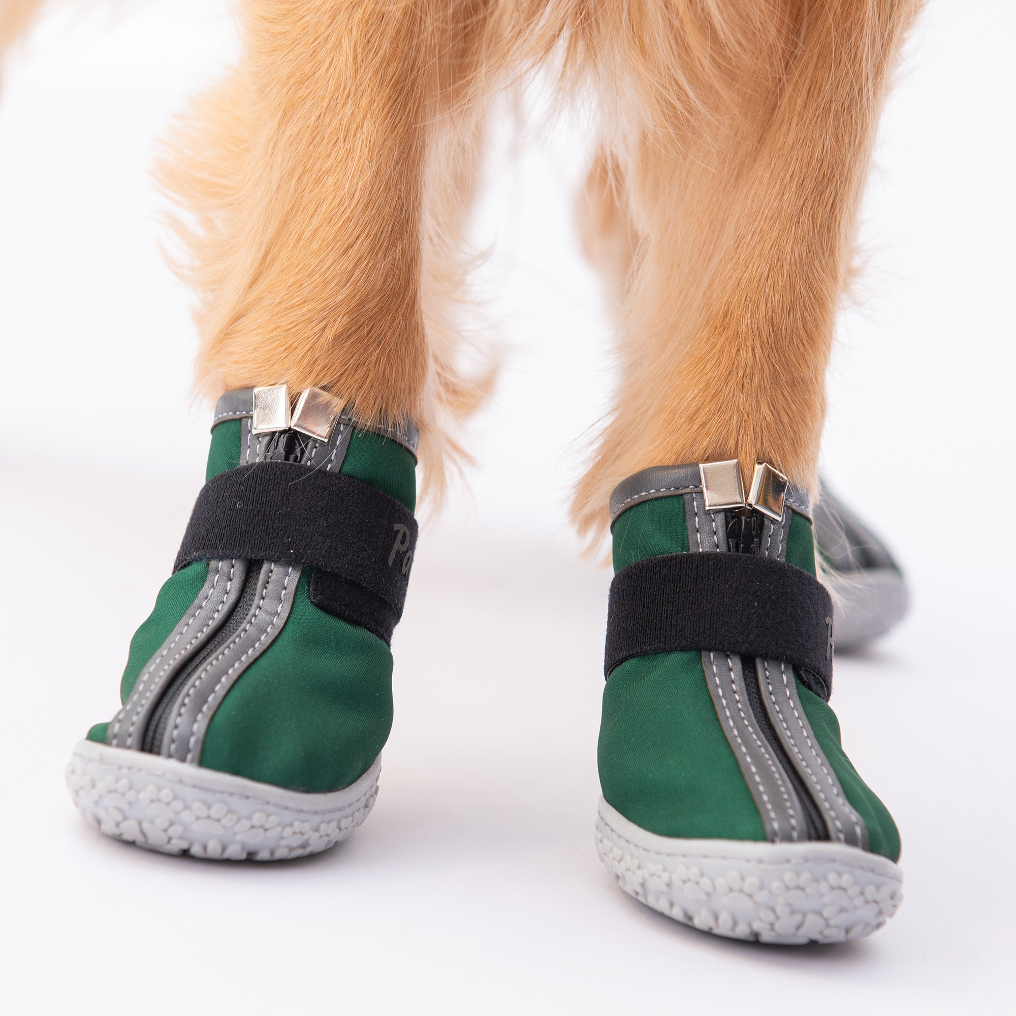 PDS11 Yeşil Köpek Ayakkabısı