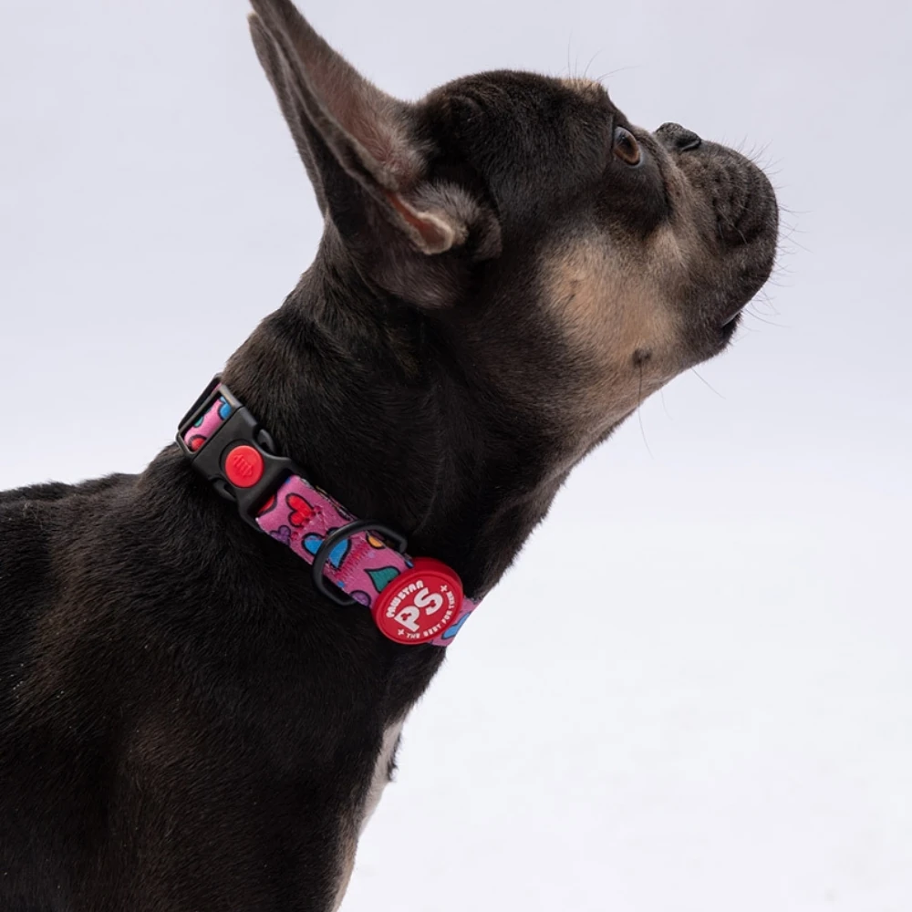 DC23-Hearts Boyun Tasması