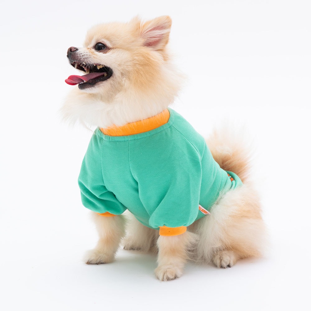 23719 Mint Bone Hunter Sweat