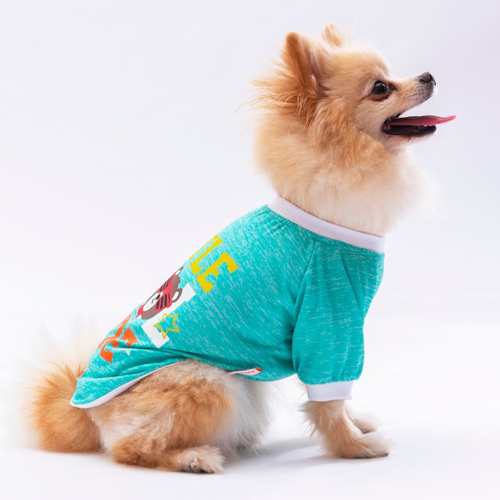 24720 Mint Dude Sweat