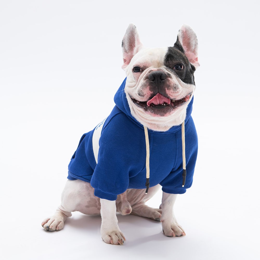 23705 Mavi Cute Hoodie