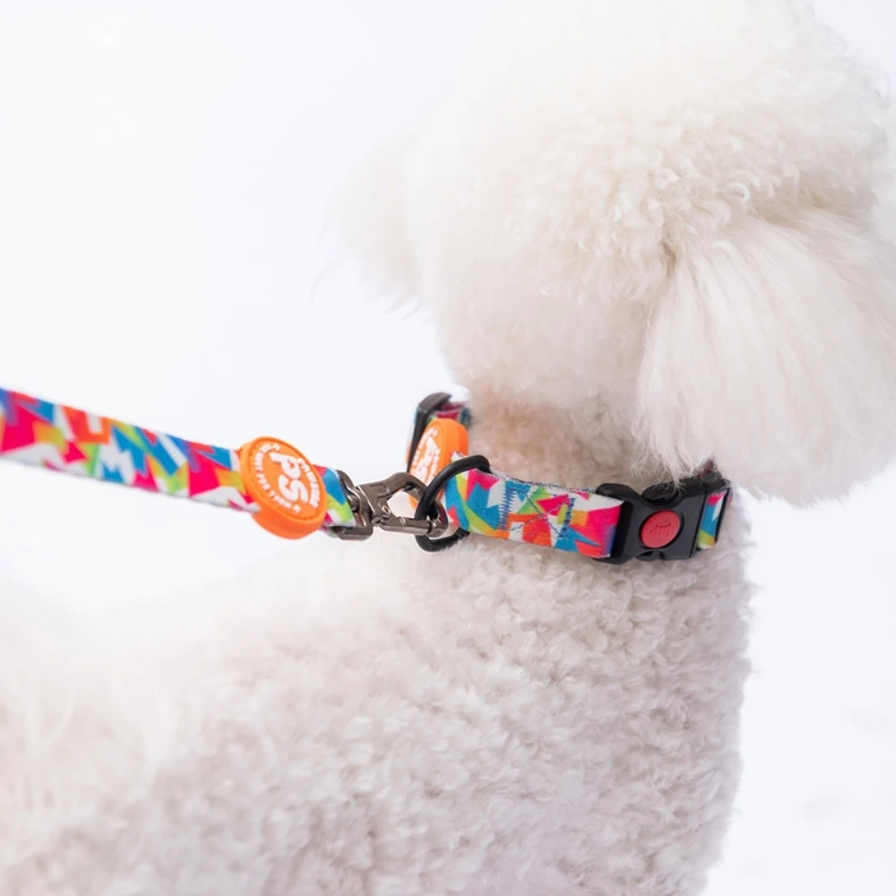 DC26-Mosaic Boyun Tasması