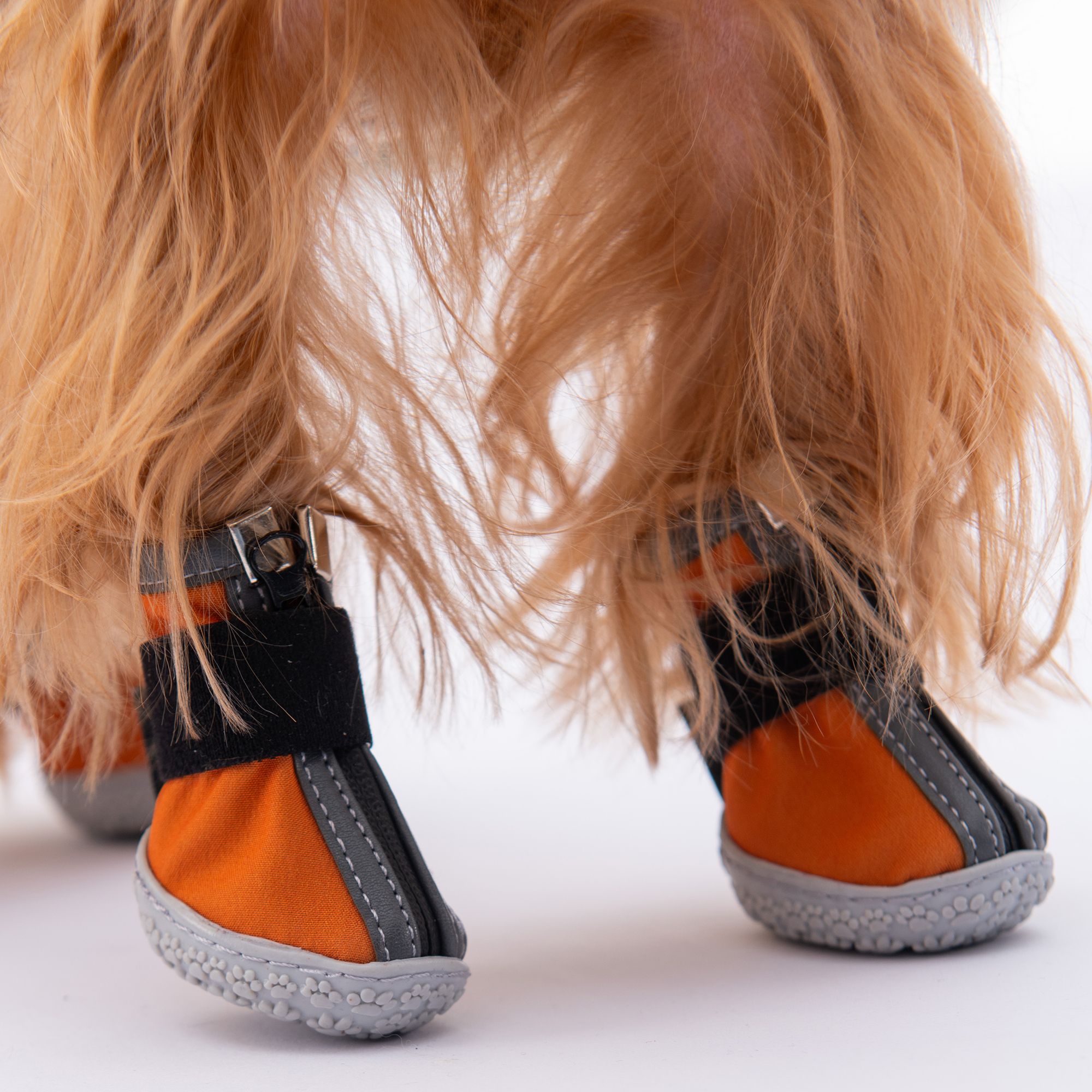 PDS10 Turuncu Köpek Ayakkabısı