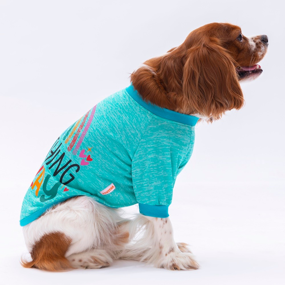 24712 Mint Everything Sweat