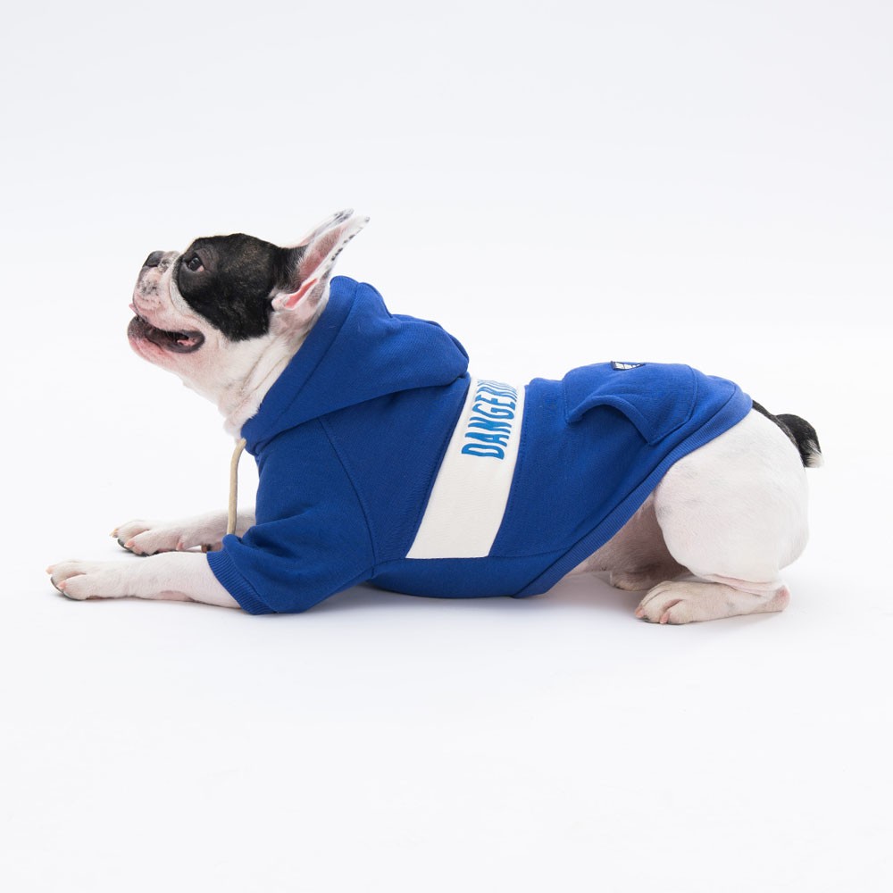 23705 Mavi Cute Hoodie