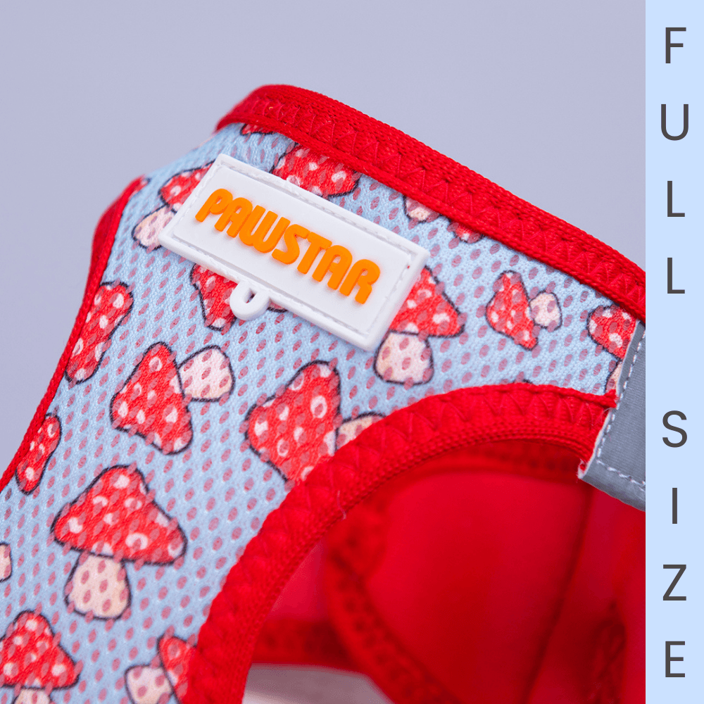 A36-Mushroom Airmesh Full Size