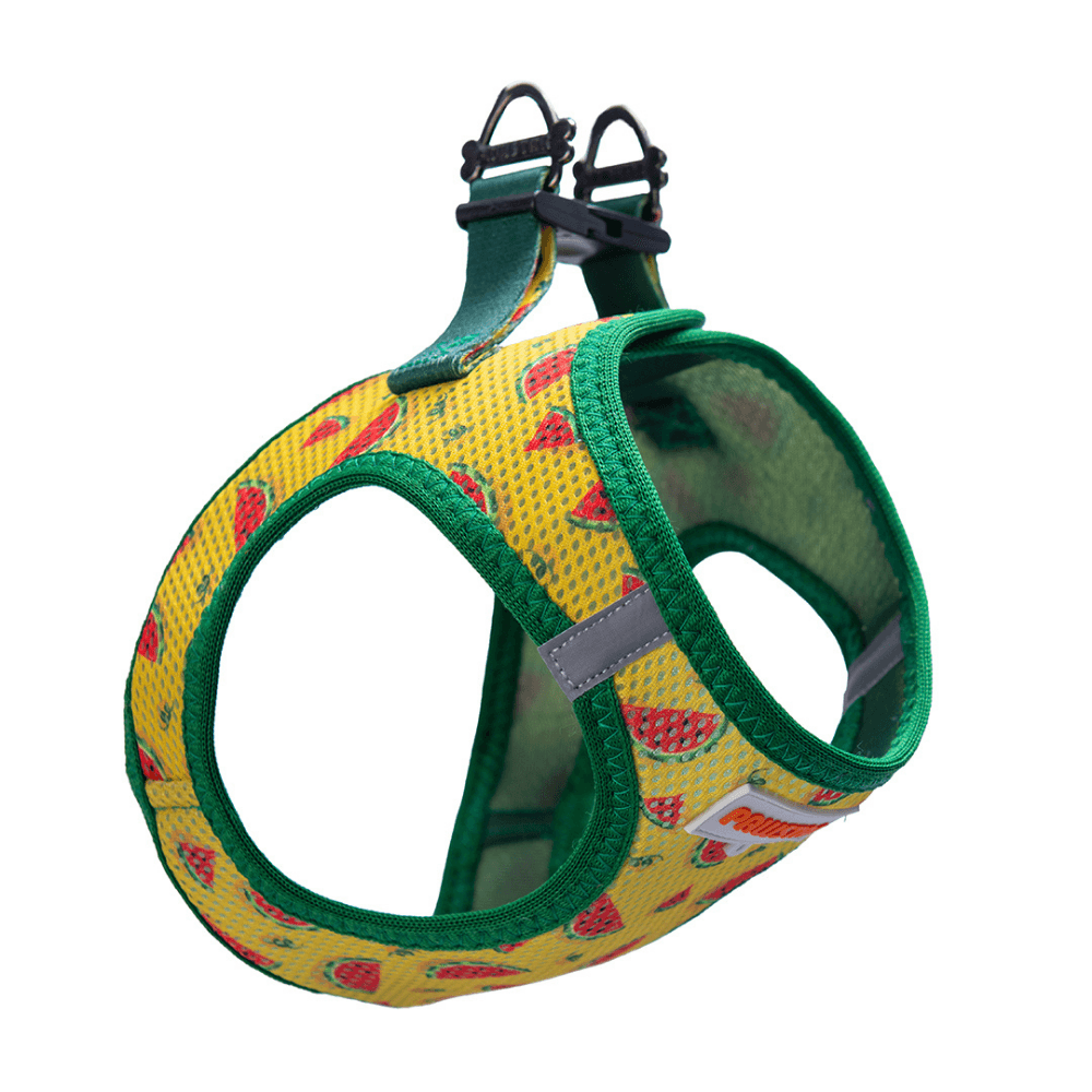 A32-Watermelon Airmesh