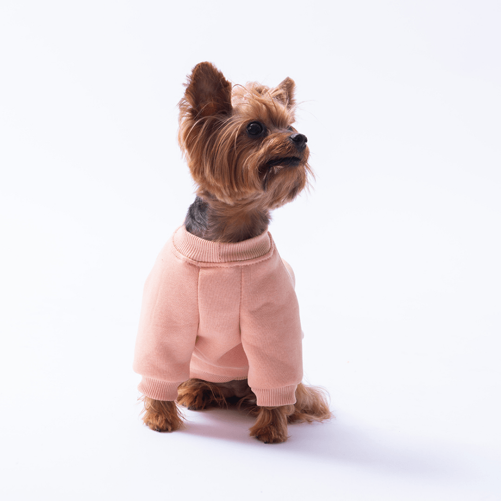 25712- Pembe Dublin Hopper Sweat