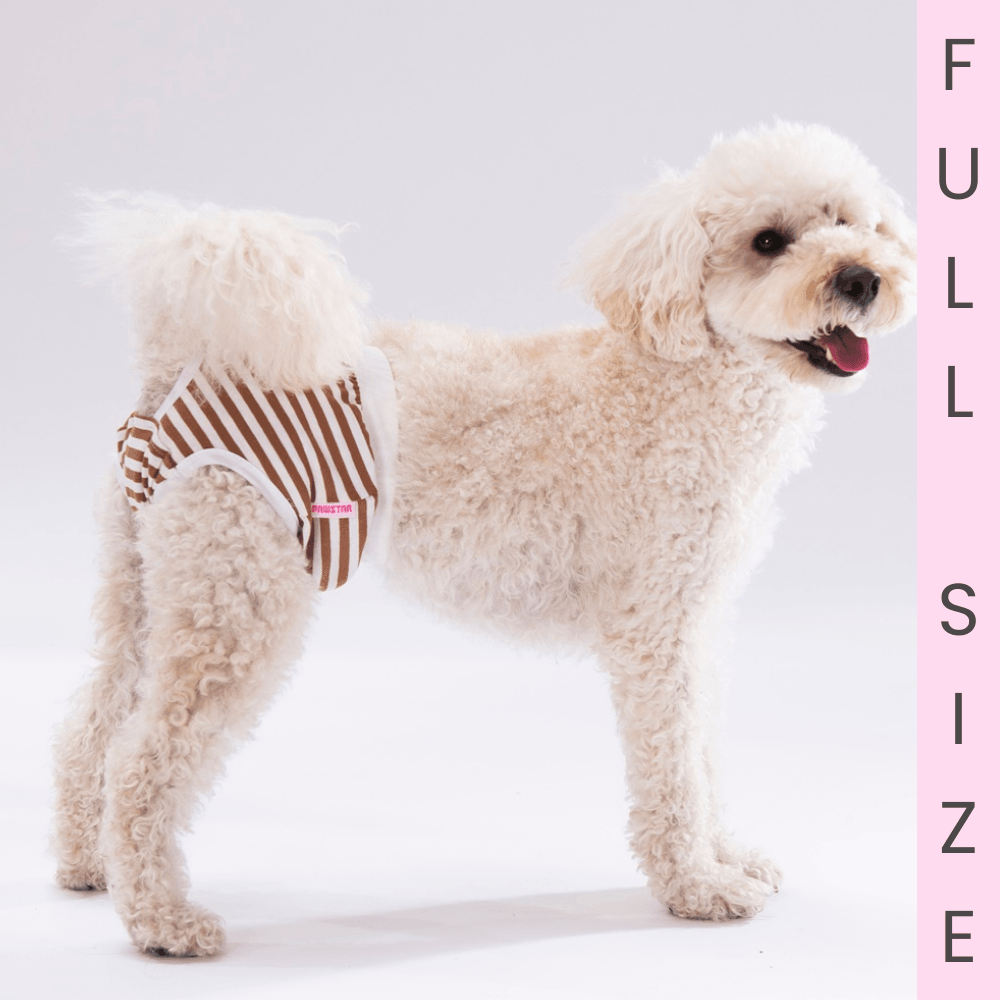 23062-Çizgili Kedi Köpek Çamaşır / Regl Külodu Full Size