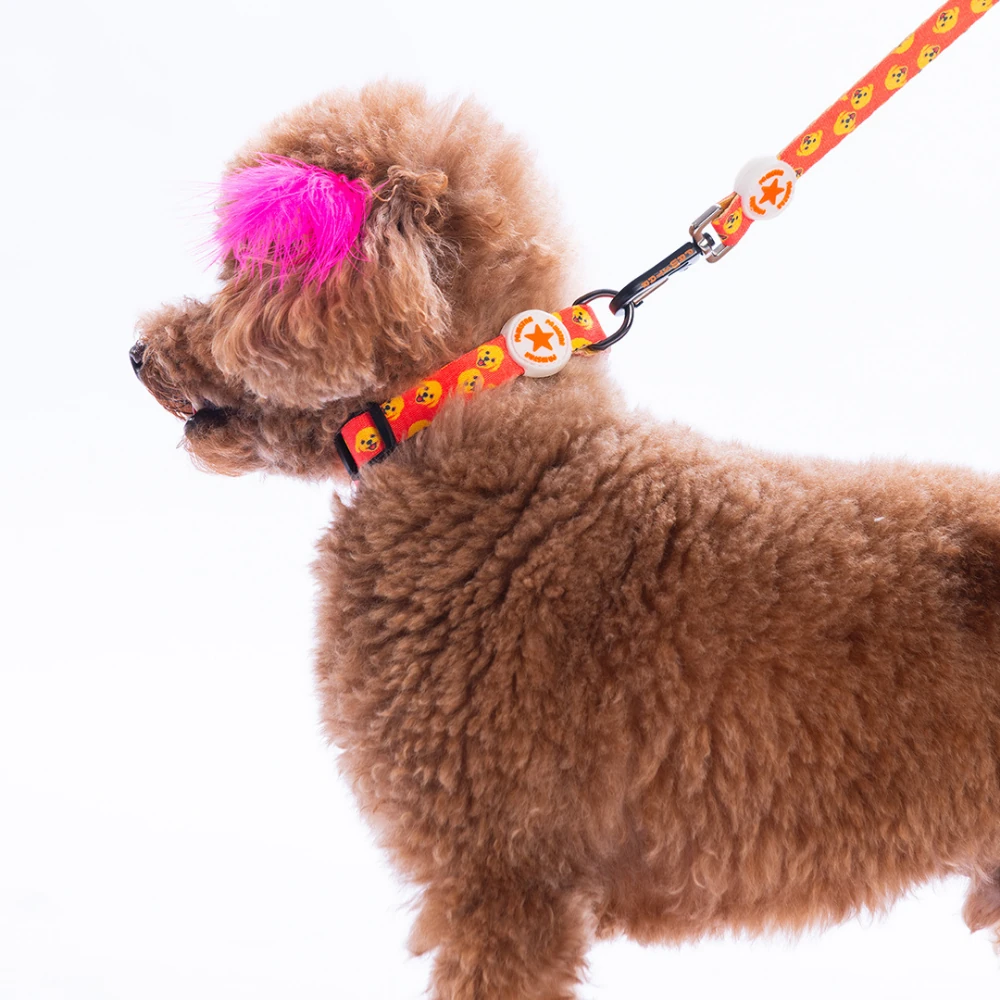 DC31-Poodle Boyun Tasması - S-1.5 CM