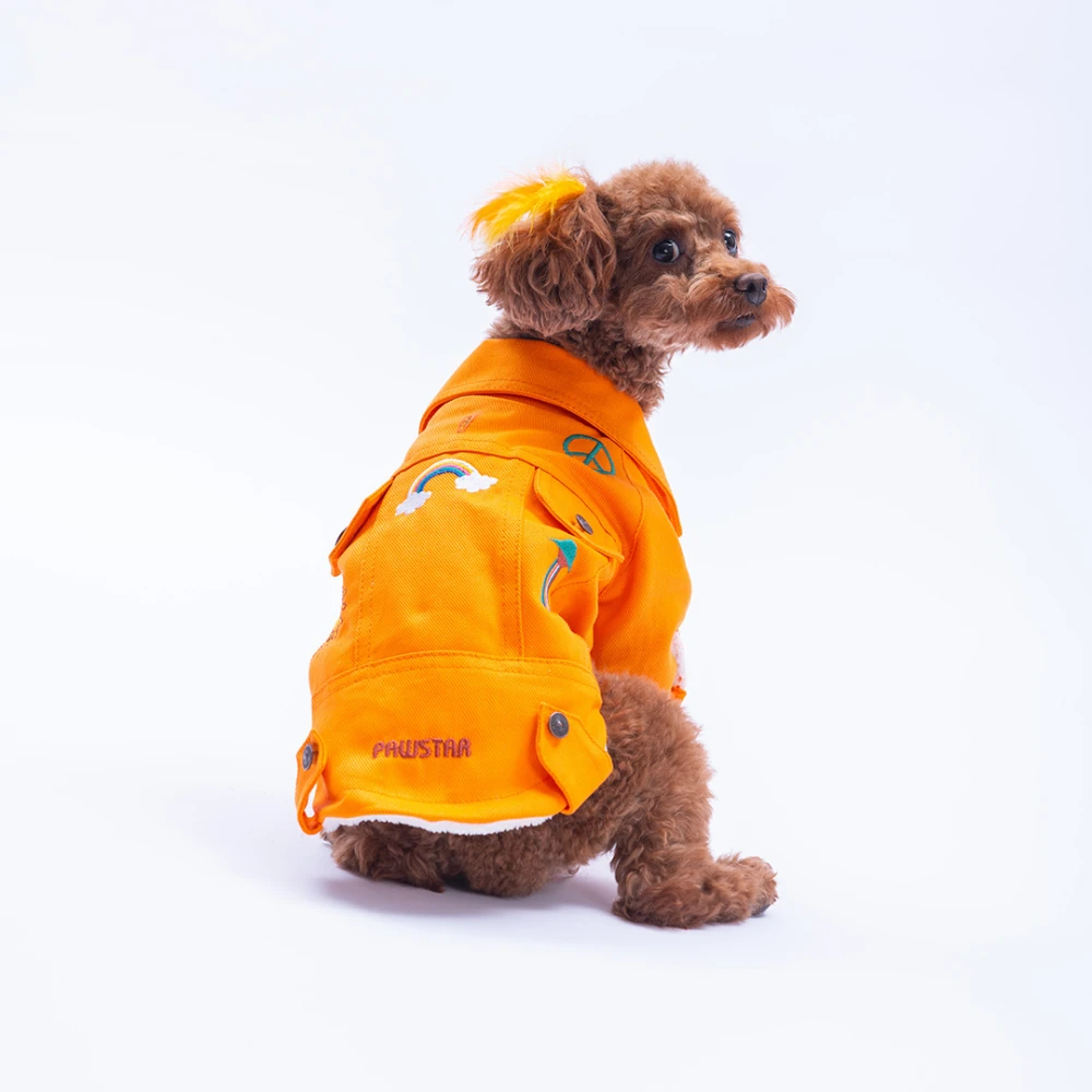 25211-Turuncu Cancún Pop  Ceket