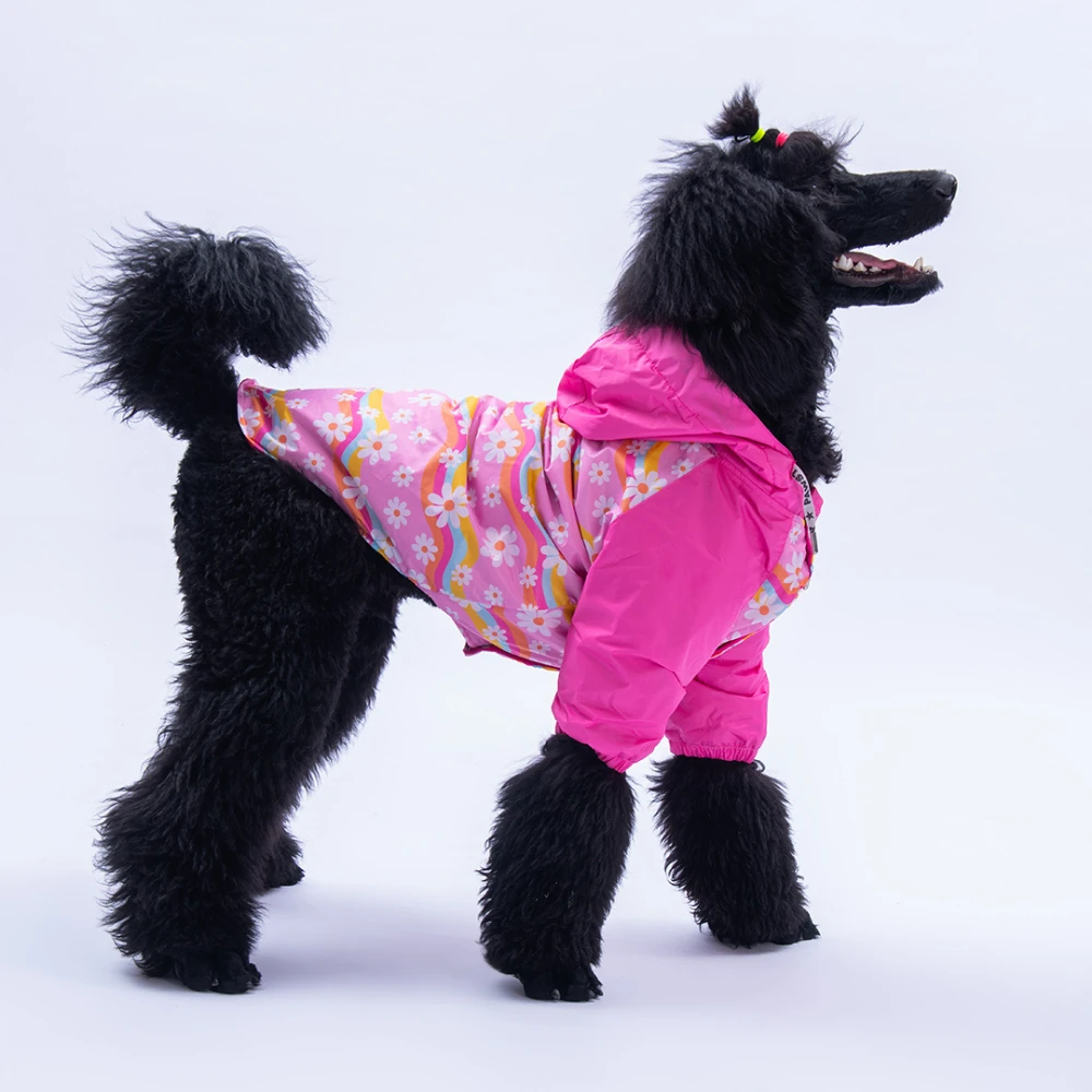 25551 Florence Daisy Büyük Irk Yağmurluk