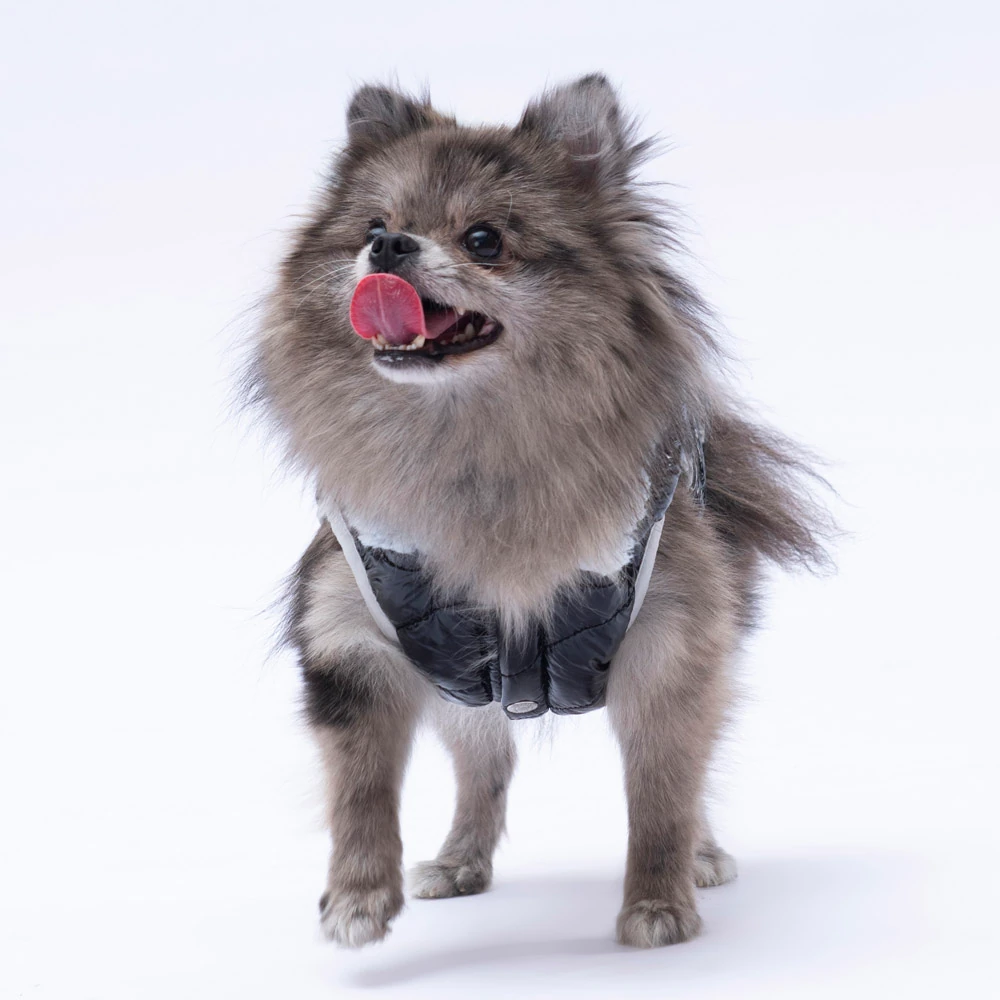 23109 Siyah Light Wave Yelek