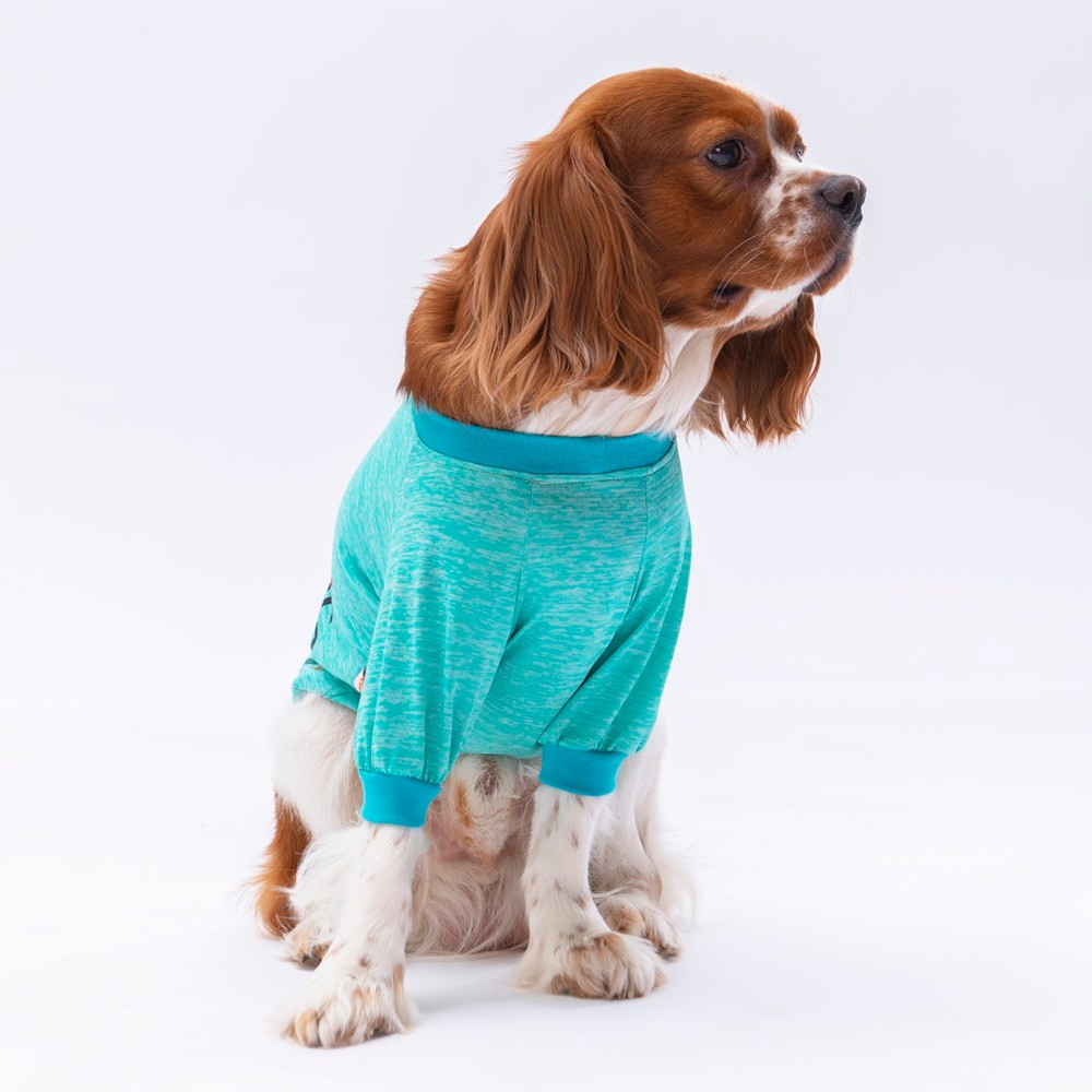 24712 Mint Everything Sweat