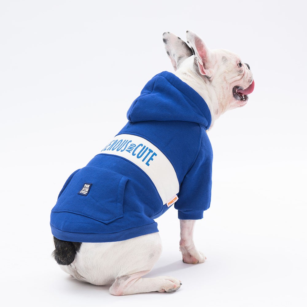 23705 Mavi Cute Hoodie