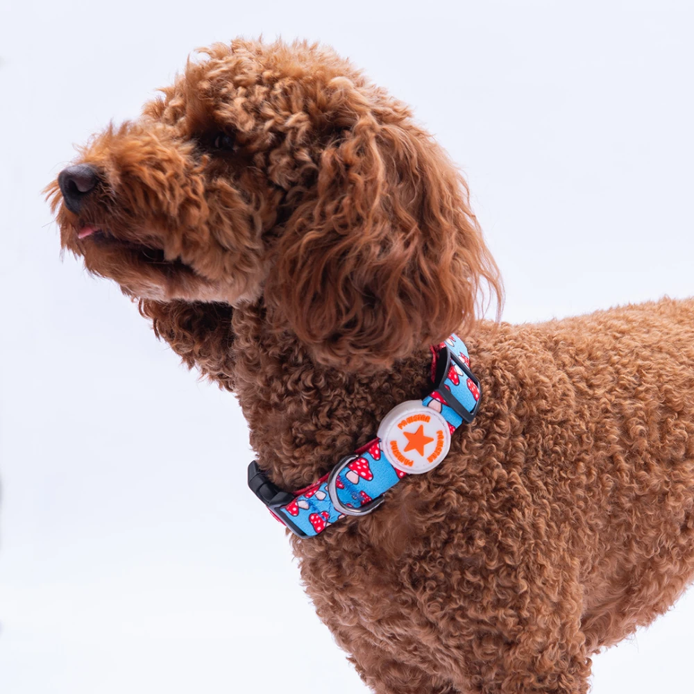 DC36-Mushroom Boyun Tasması