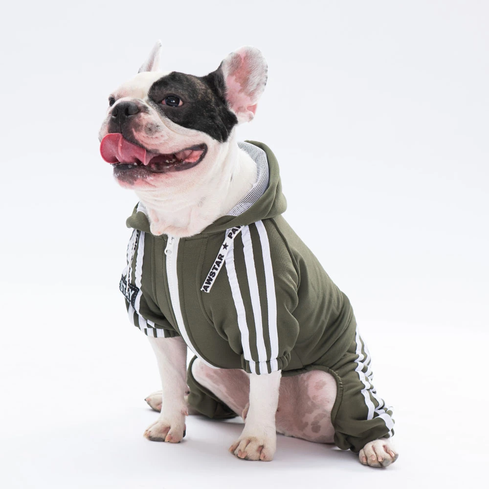 23913 Haki Tuta Tulum