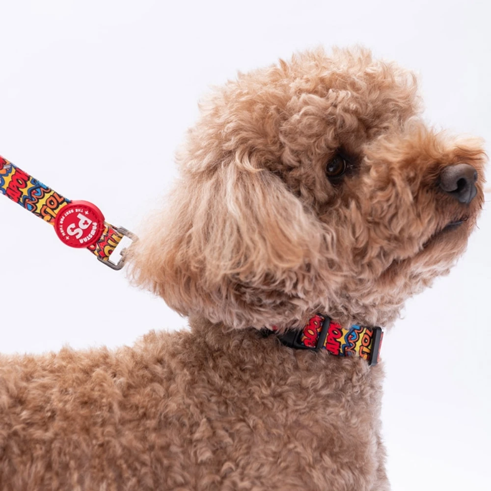 DC24-Wow Boyun Tasması