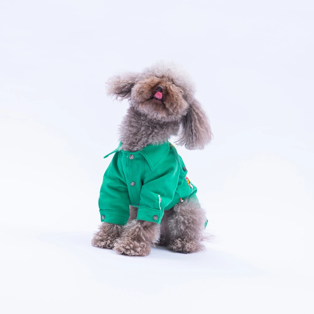 25212-Yeşil Cancún Pop  Ceket