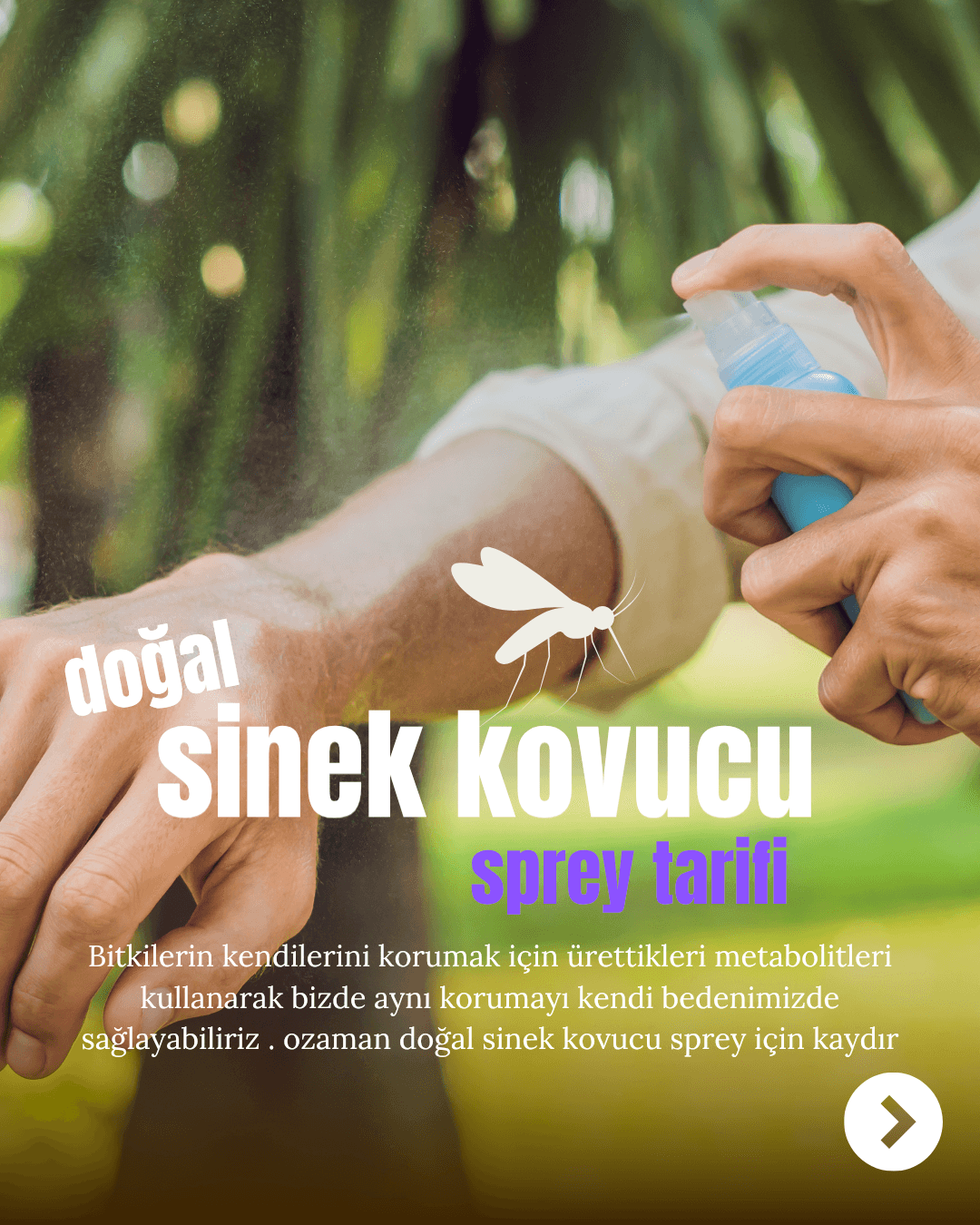 Doğal Sinek Kovucu Sprey Yapımı