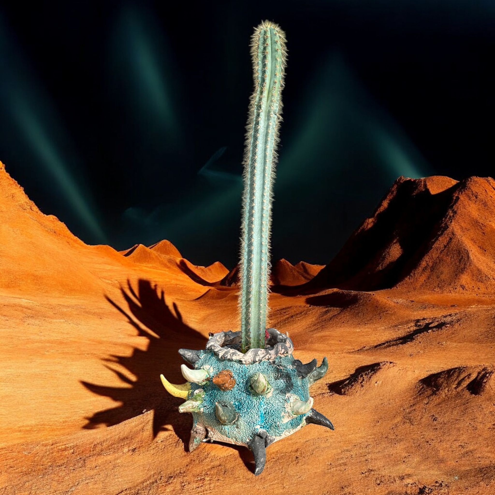 Cereus Azureus D:28 cm H:60 CM