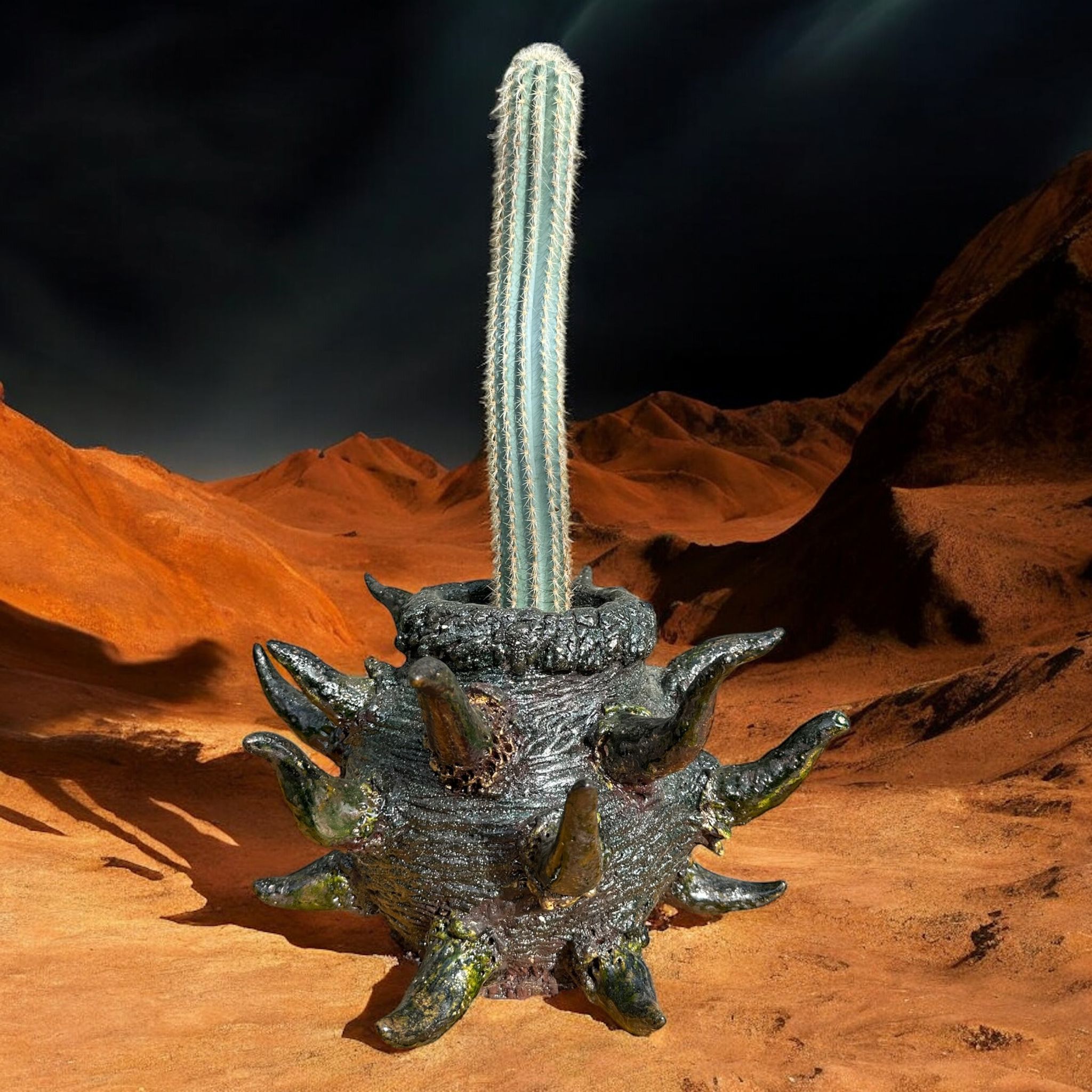 Cereus Azureus D:32 cm H:50 cm