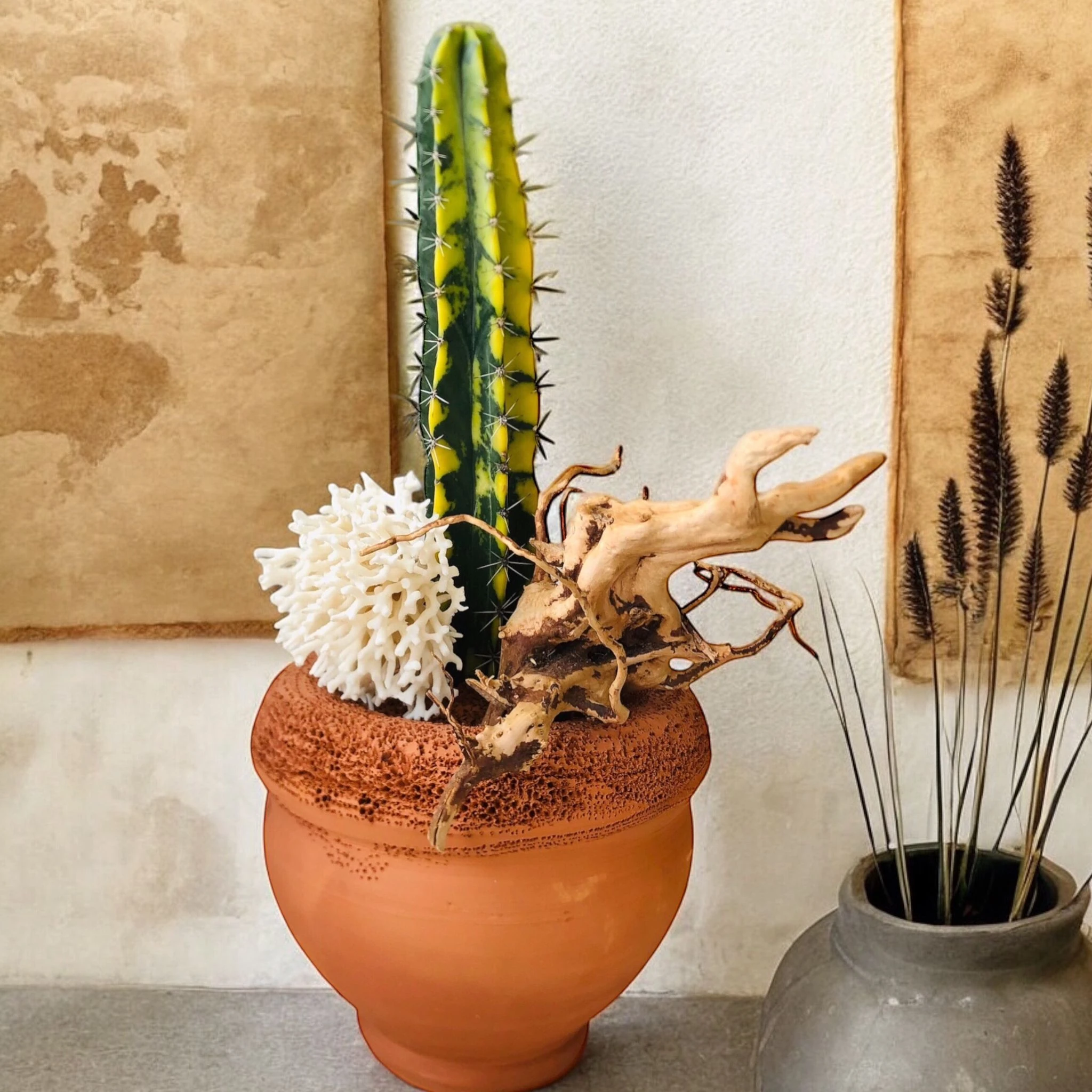 Stenocereus Pruinosus f. Variegata H:55 cm