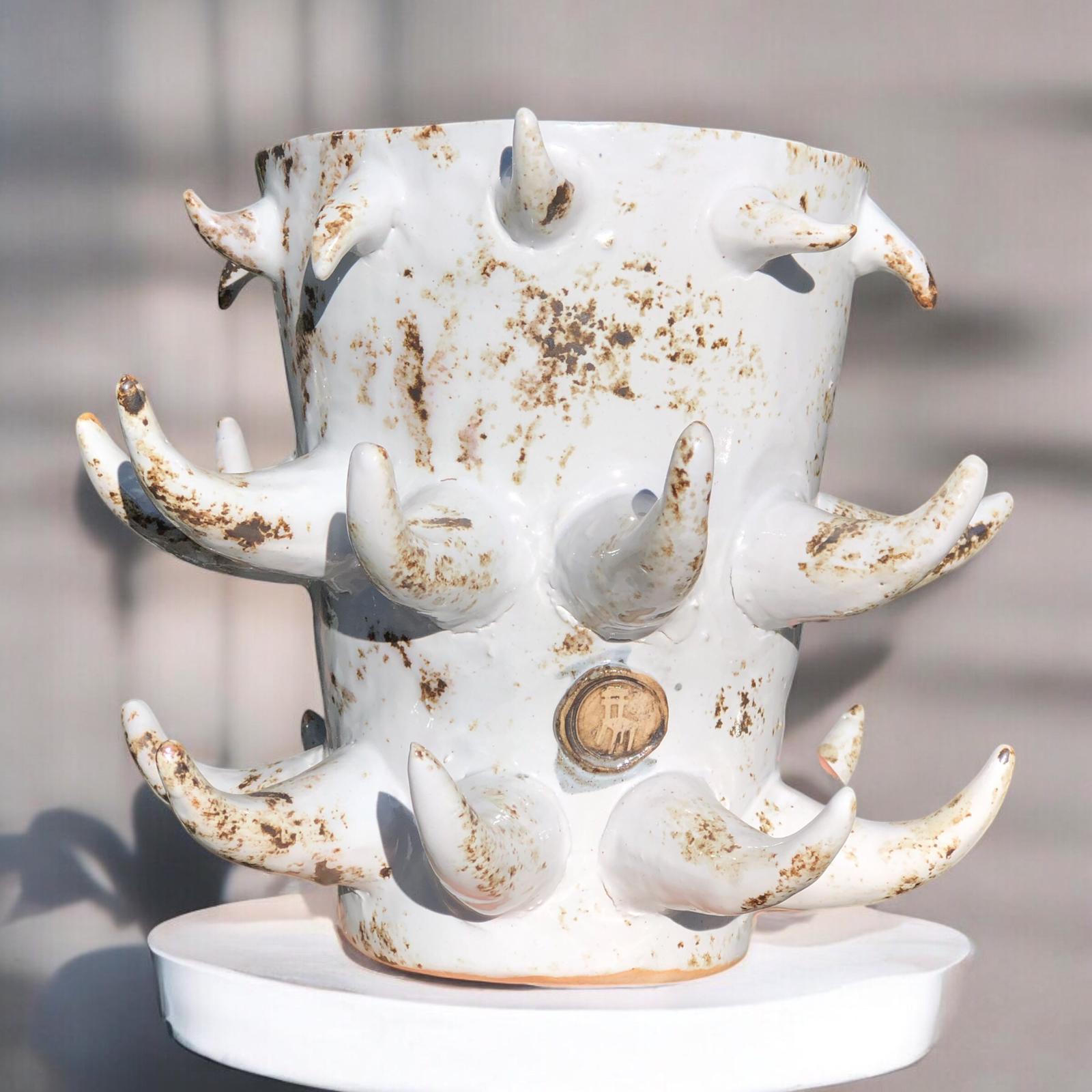 White Octopus Saksı D:15 H:18,5