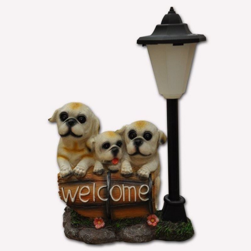 51269 Solar Welcome