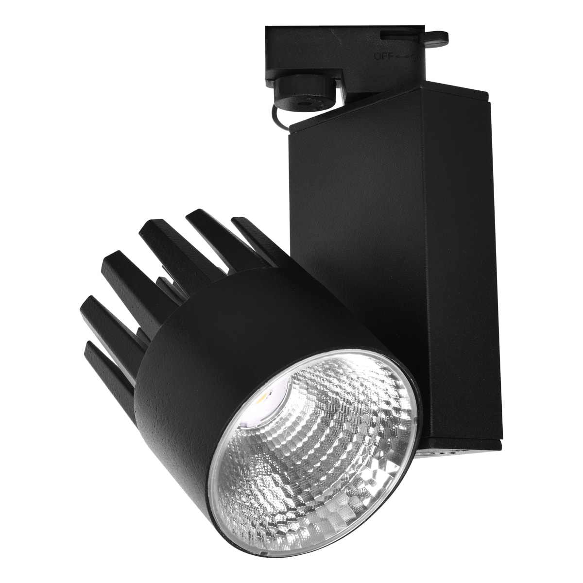 Ray Spot 30W Siyah 6500K