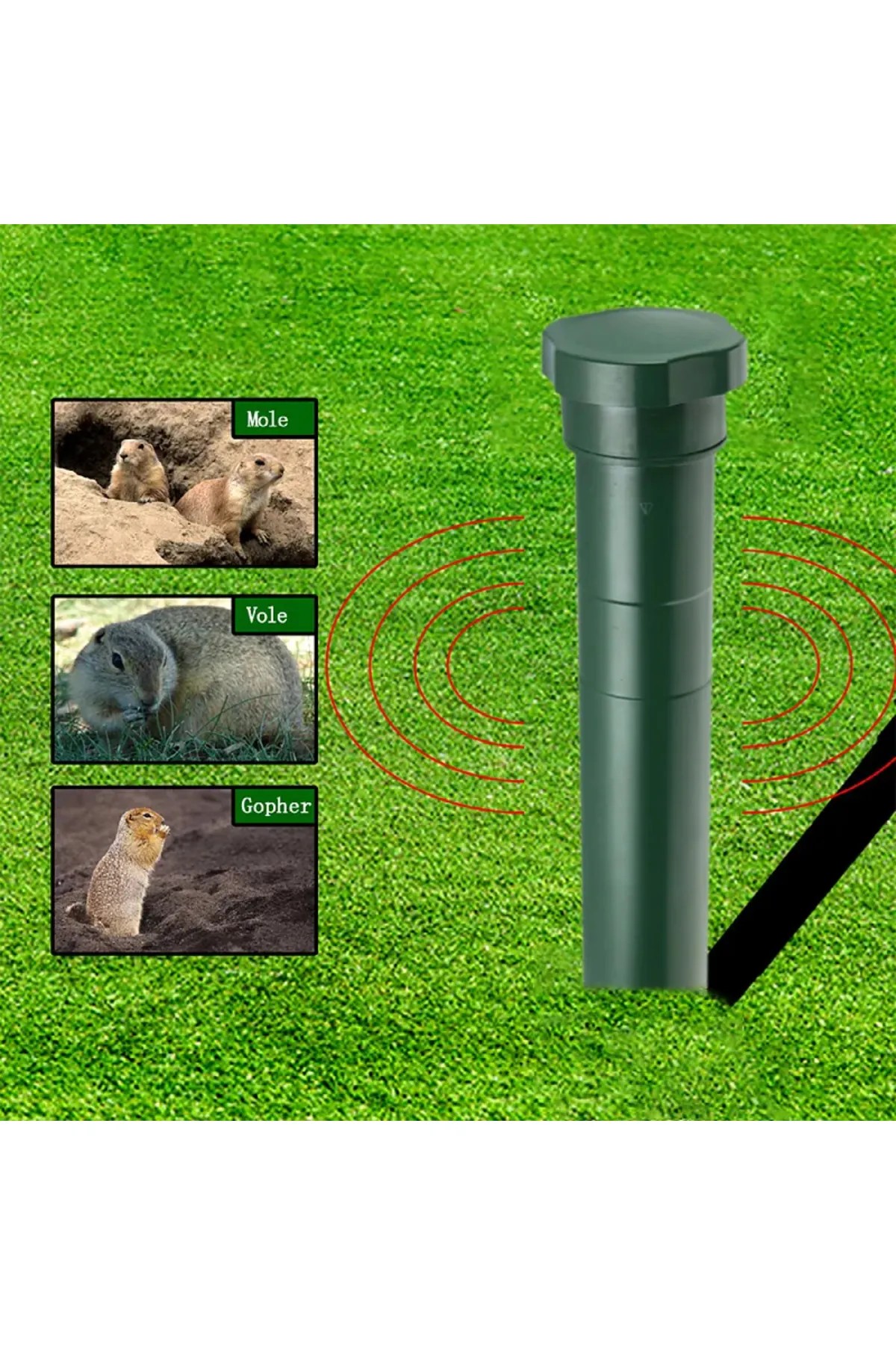 DLC KÖSTEBEK KOVAR PİLLİ