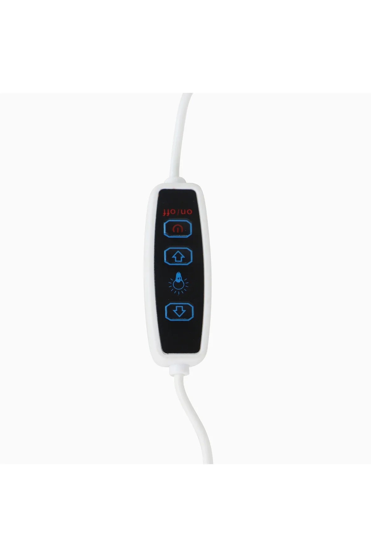 DLC NEON ŞERİT LED 3 METRE RENKLİ IP65
