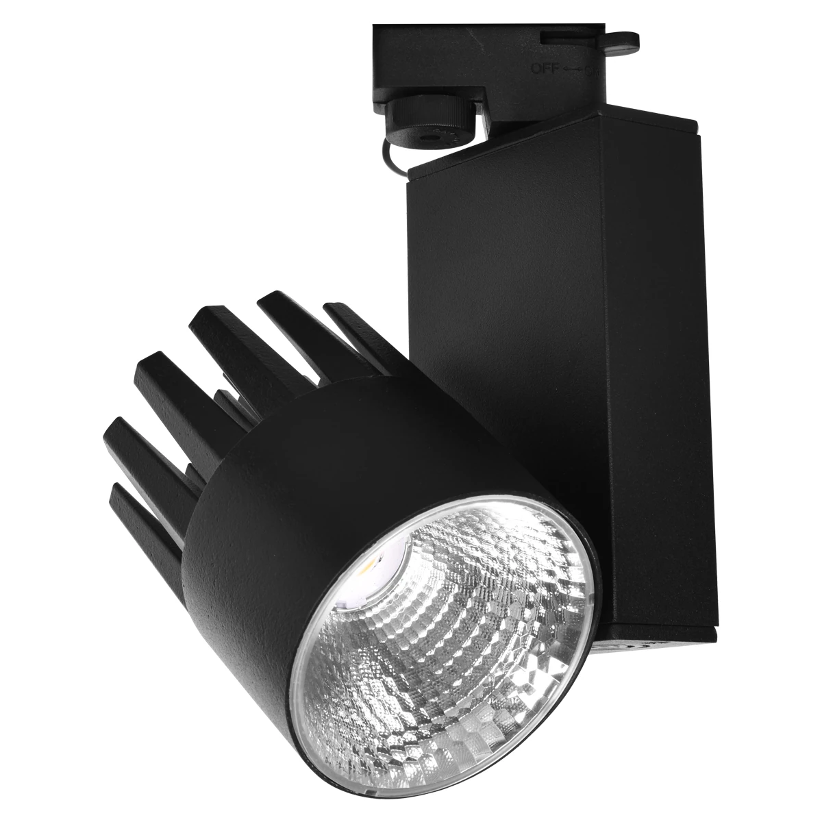 Ray Spot 30W Siyah 3000K