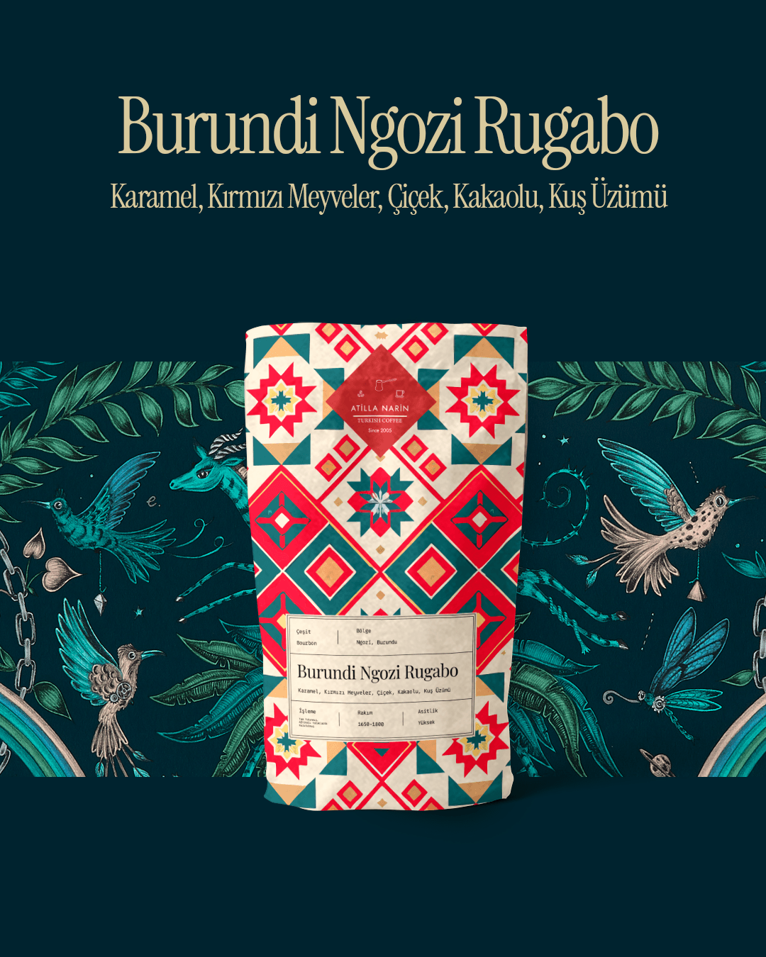 Atilla Narin Burundi Ngozi Rugabo