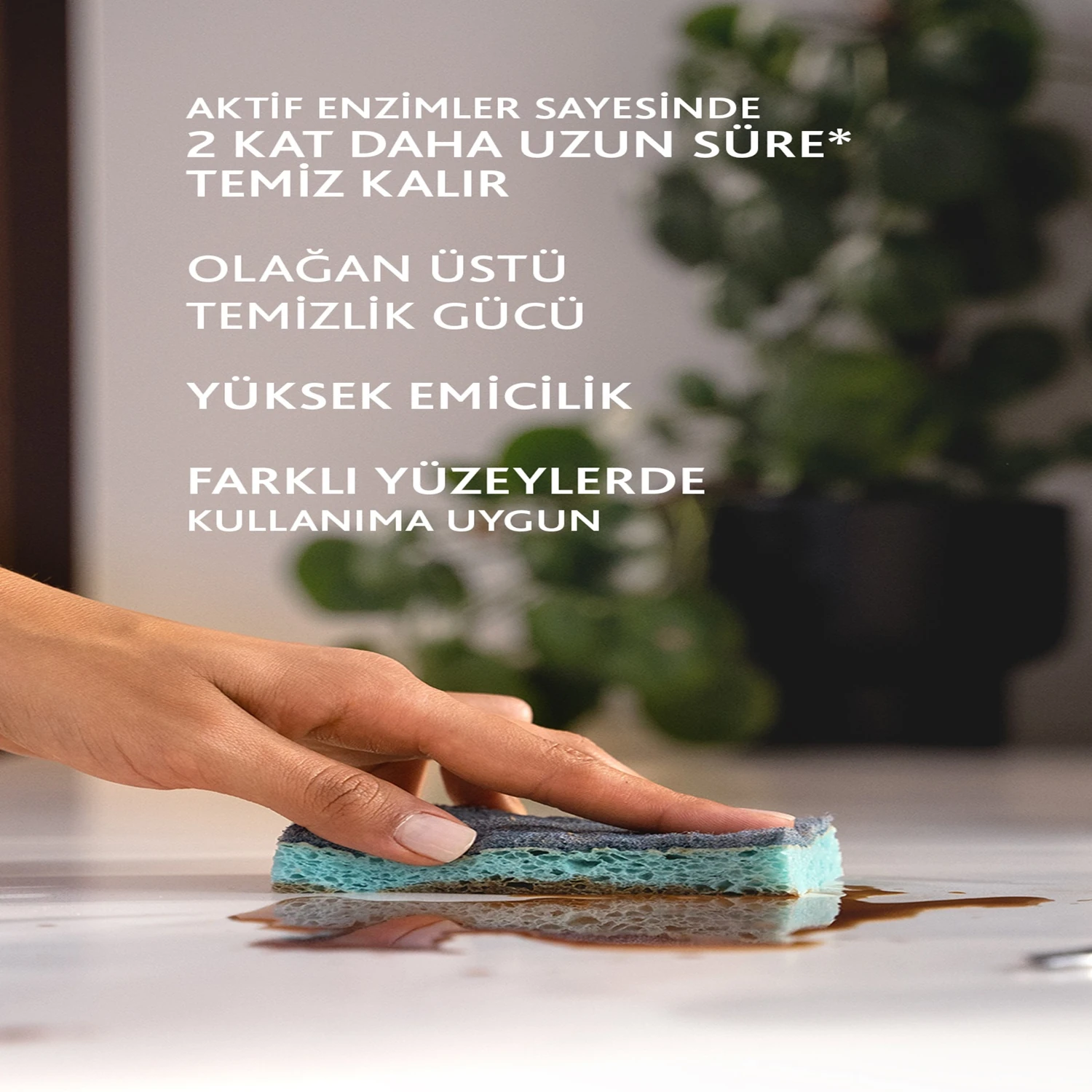 Vileda 14 Paket 2'li Pro Clean Viskoz Selüloz Bulaşık Süngeri 