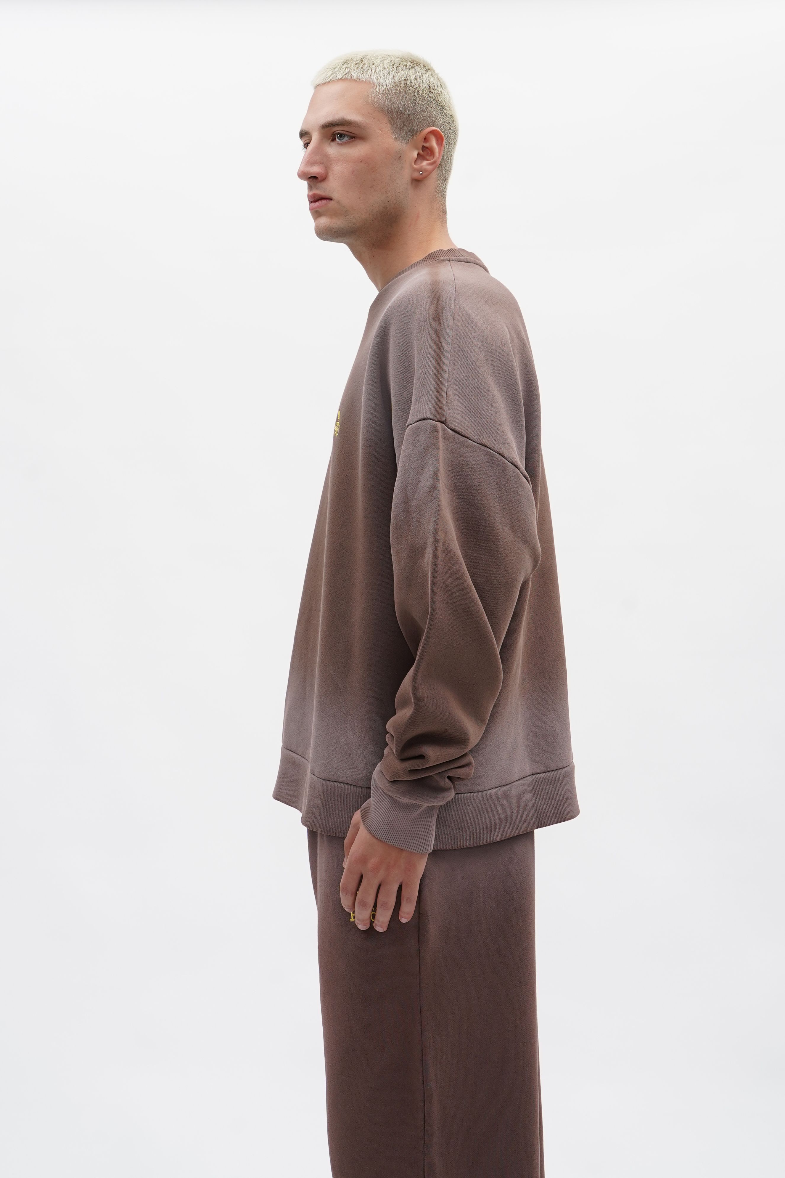 P.Clo Faded Sweater (Mocha)