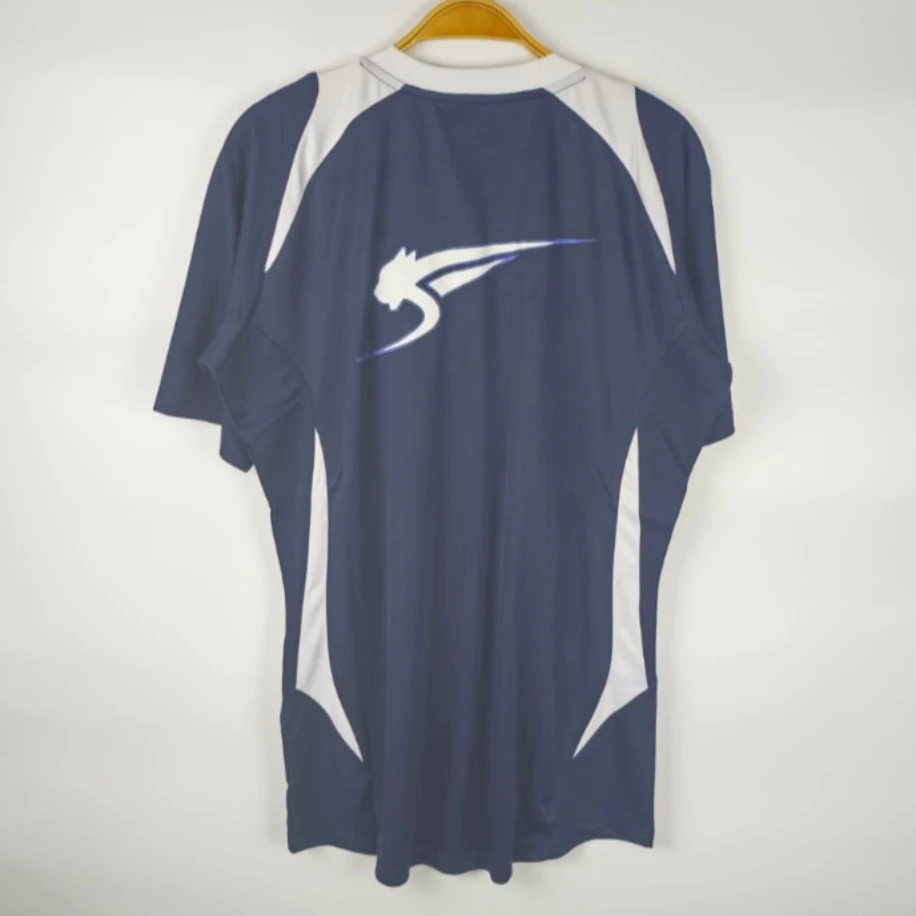 Auxerre Training 2012-13